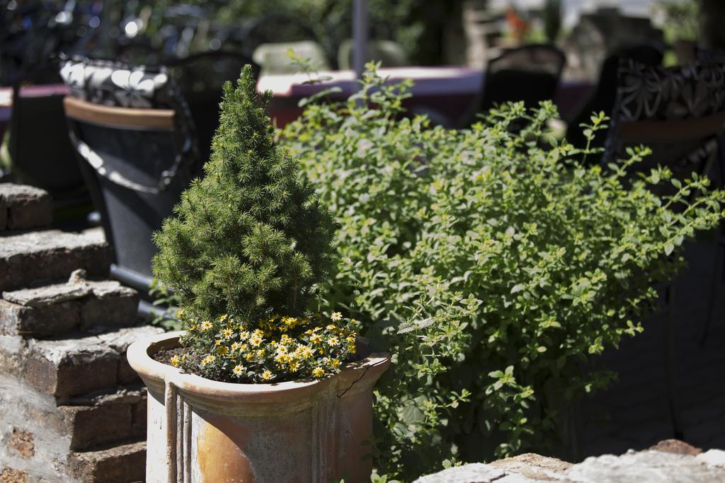 Hotel Zeta Lenti Εξωτερικό φωτογραφία